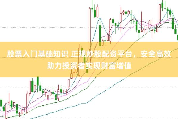 股票入门基础知识 正规炒股配资平台,安全高效助力投资者实现财富增值