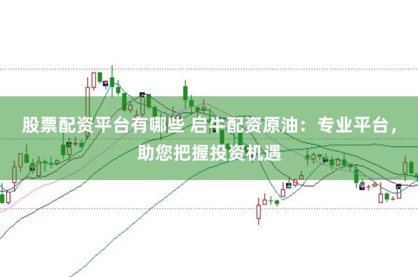 股票配资平台有哪些 启牛配资原油：专业平台，助您把握投资机遇