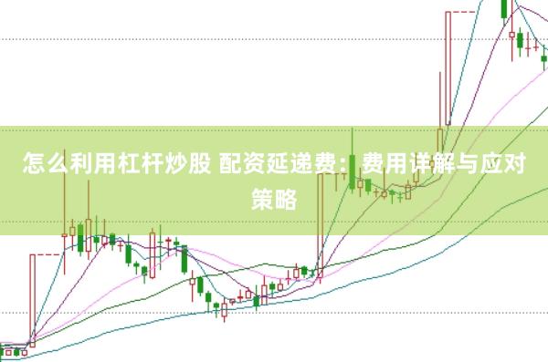 怎么利用杠杆炒股 配资延递费：费用详解与应对策略