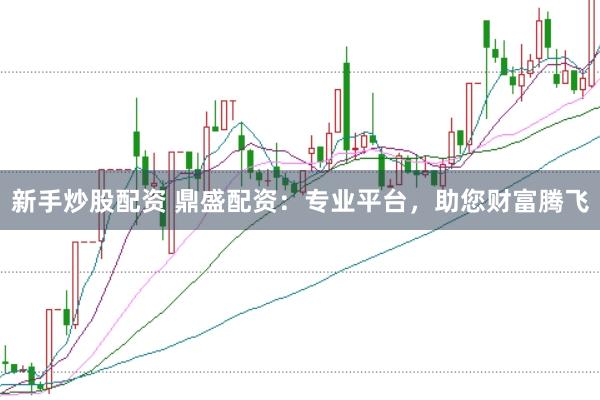 新手炒股配资 鼎盛配资：专业平台，助您财富腾飞