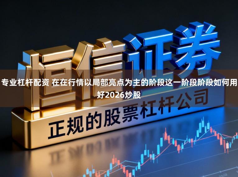 专业杠杆配资 在在行情以局部亮点为主的阶段这一阶段阶段如何用好2026炒股