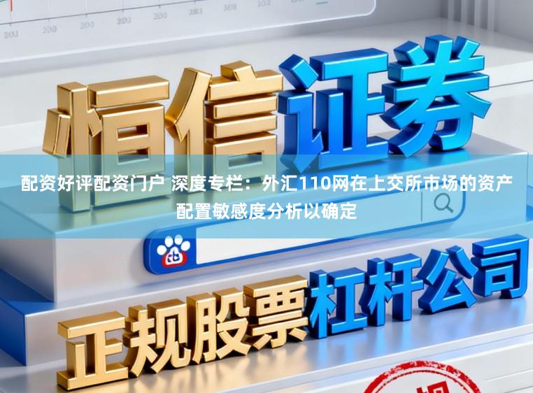 配资好评配资门户 深度专栏：外汇110网在上交所市场的资产配置敏感度分析以确定